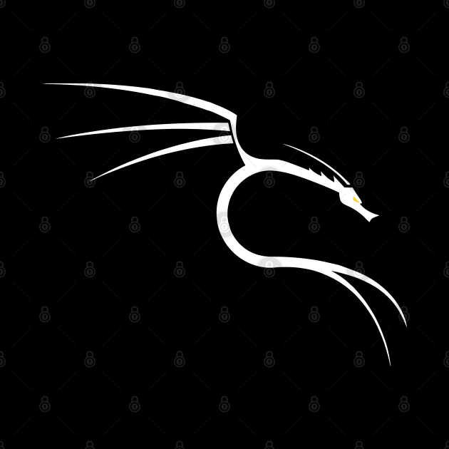 Kali Linux Backtrack Dragon Programming by rumsport
