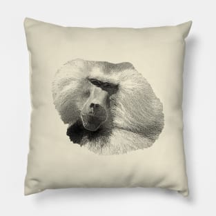 Baboon Pillow