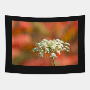 Queen Anne's Lace Tapestry