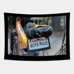 BOYS RULE Tapestry