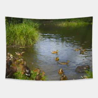 Ducks on the lake Tapestry