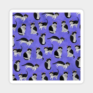 Cats Magnet