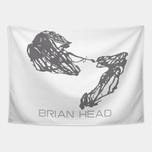 Brian Head Resort 3D Tapestry