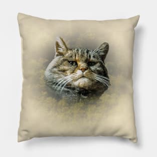 Wild cat Pillow