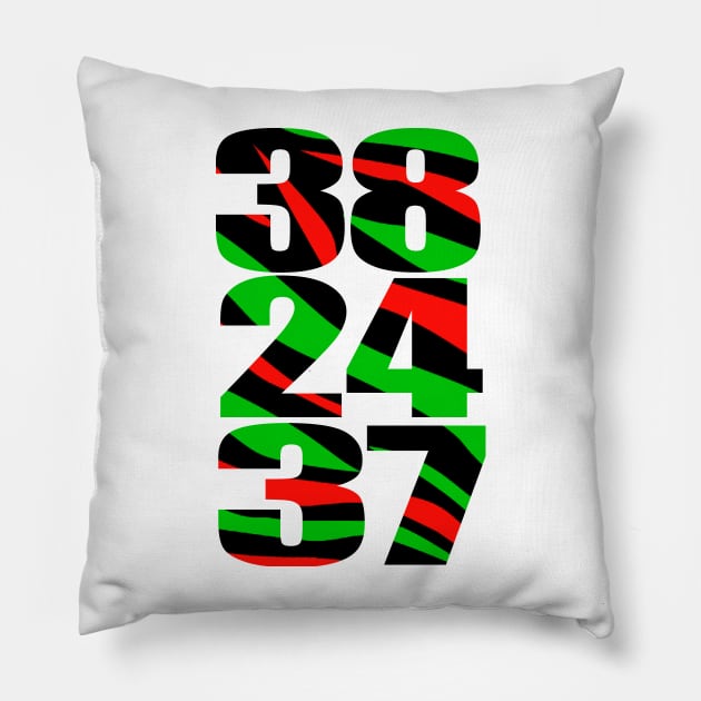 38,24,37 Pillow by StrictlyDesigns