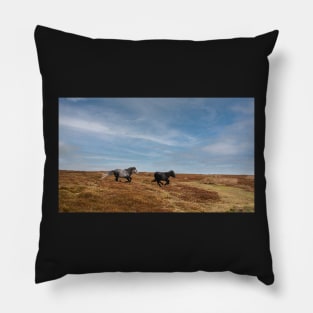 Wild Welsh Ponies Pillow