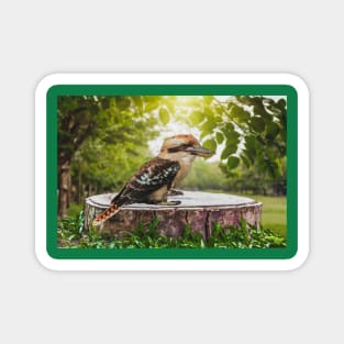 Laughing Blue-Winged Kookaburra Bird Sitting on Tree Stump Magnet