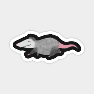 Opossum Magnet