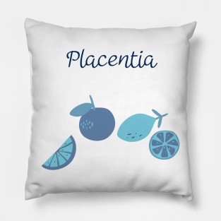 City Of Placentia Pillow