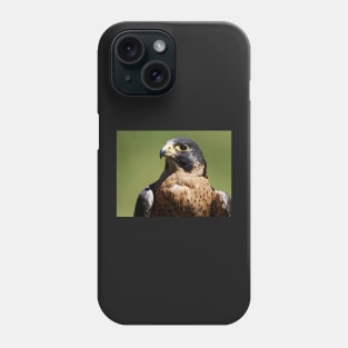 Peregrine Falcon Phone Case