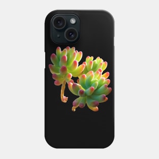 sedum pachyphyllum Phone Case