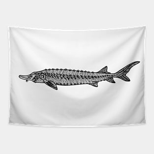 European Sea Sturgeon - fish drawing on white Tapestry