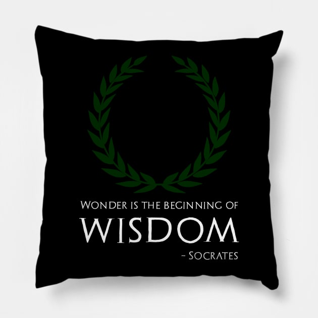 Ancient Greek Philosophy Socrates Quote On Wisdom Pillow by Styr Designs