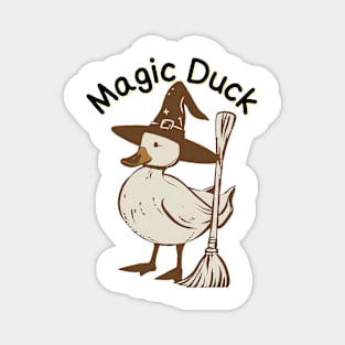 Magic duck Magnet