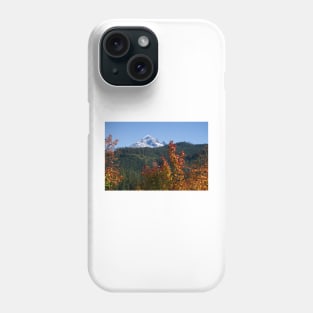 850_2711 Phone Case