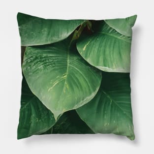 Aesthetic leaves, minimalist green leaf, modern art Pillow