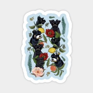 Botanical and Black Schnauzer Magnet