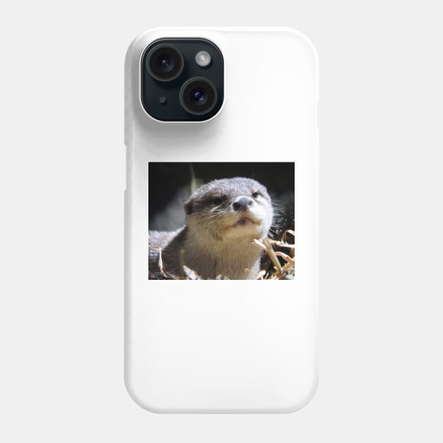 Otter Phone Case by kirstybush