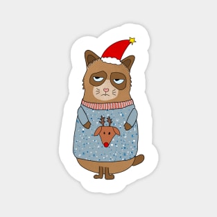 Cute Raccoon Christmas Magnet