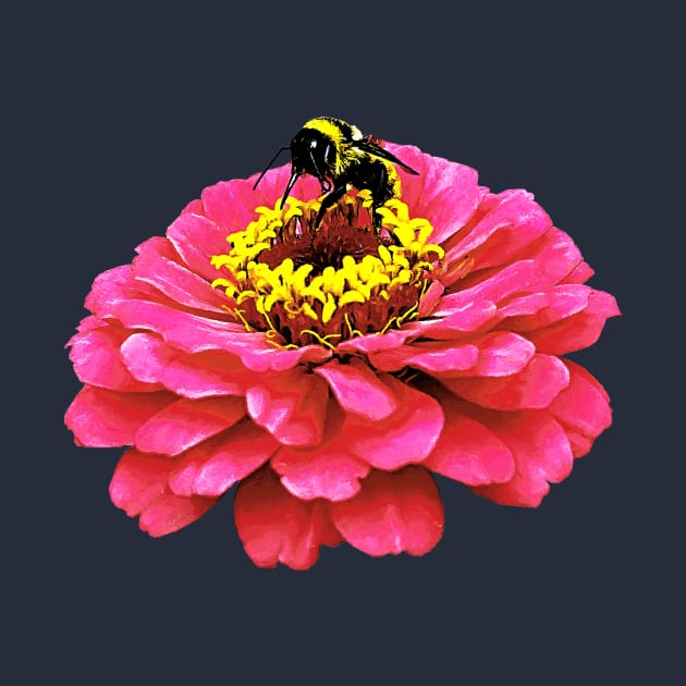 Zinnia and the Bee by SusanSavad