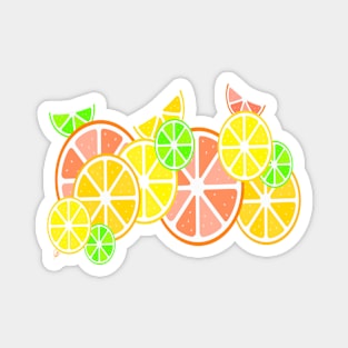 Citrus Lover Magnet