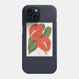 Anthurium Andreanum - Paxton's - Botanical Illustration Phone Case