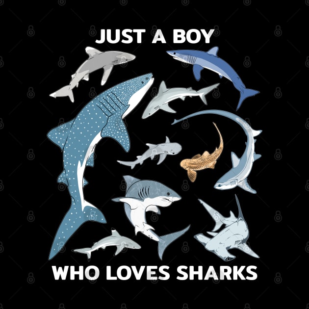 Just a boy who loves sharks by NicGrayTees