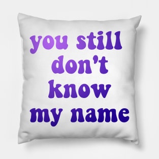 euphoria inspired - you still don't know my name Pillow