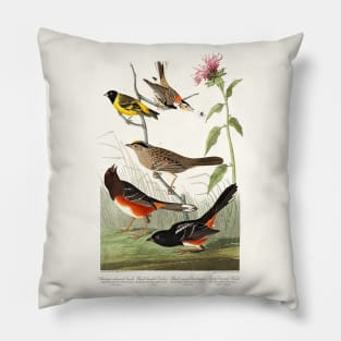 Chestnut-coloured Finch, Black-headed Siskin, Black crown Bunting and Arctic Ground Finch from Birds of America (1827) Pillow