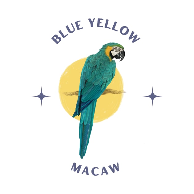 Blue Yellow Macaw by Transcendexpectation