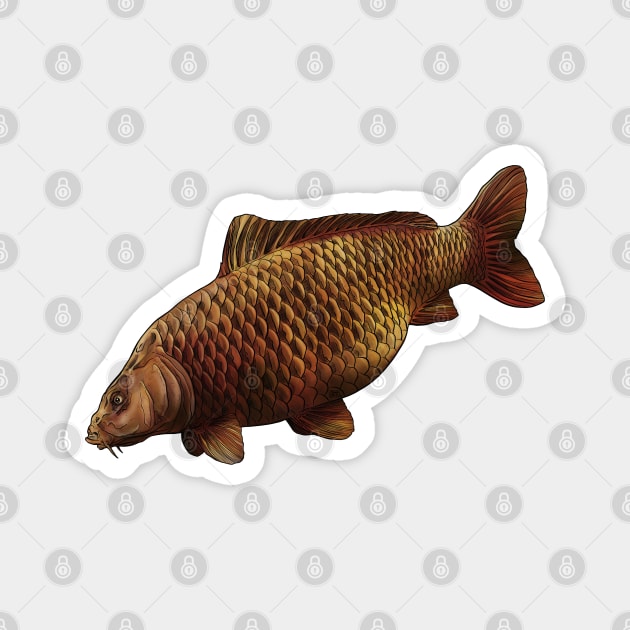 Carp common Magnet by Sandarmi