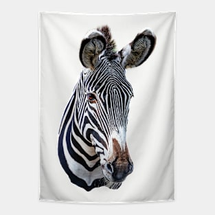 Mr Stripes the Zebra Tapestry