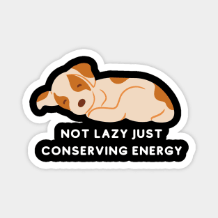 Not Lazy Just Conserving Energy Magnet