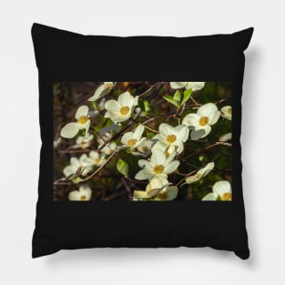 Dogwoods Pillow