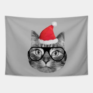 Cute fluffy tabby cat celebrating Christmas Eve Tapestry