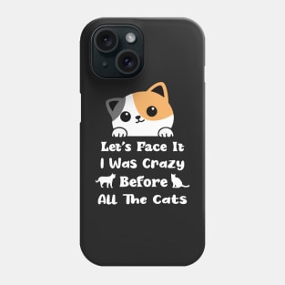 Let's Face It I Was Crazy Before All The Cats Gift For Cats Lovers Phone Case