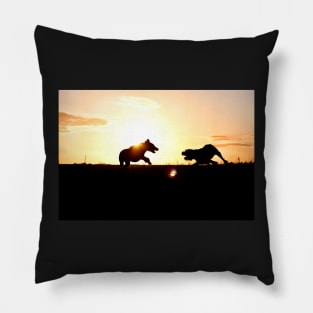 Italian Spinone Sunset Playtime Pillow