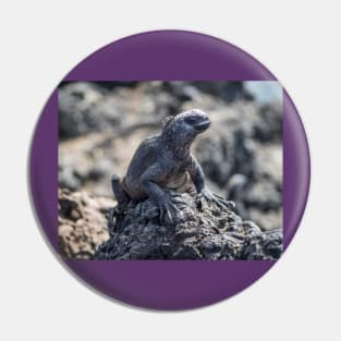 Galapagos Marine Iguana Pin