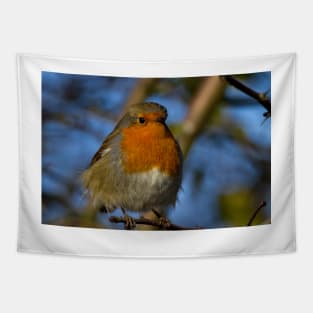 Robin in winter sunshine Tapestry