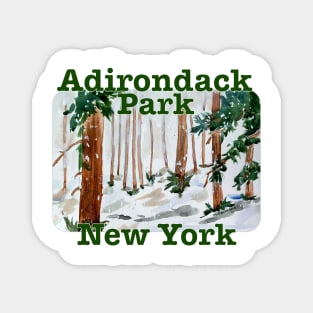 Adirondack Park, New York Magnet