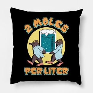 science two moles per liter Pillow