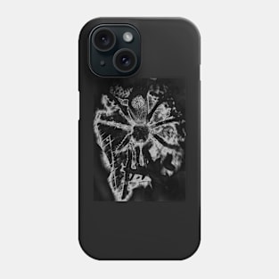 Tarantula Spiderling V41 Phone Case