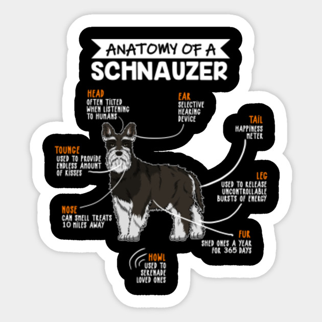 Anatomy Of A Schnauzer Dog - Puppy - Sticker