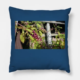 Berries on the Fence Pillow