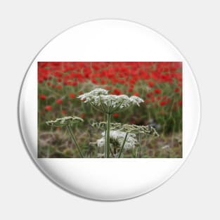 bright red glowing poppy in a field of wild uncultivated flowers Pin