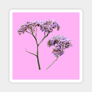 Purple flowers with a baby pink background Magnet