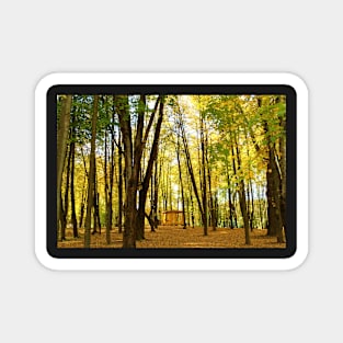 Autumn in Belarus Magnet