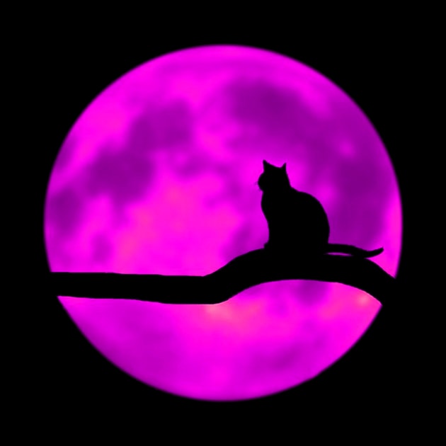 Cat and moon by Amadej