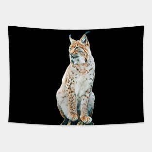 Lynx - Woodland Themed Kids Room, Funny Gifts For Forester, Cute Animals Tapestry