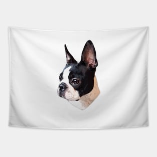 Boston Terrier Tapestry